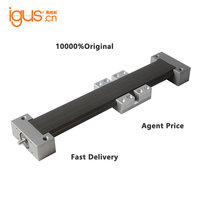 Module actuateur linéaire robuste 100% original Igus, avec rail de guidage SLW, blocs de guidage et roulements à billes, pour robots et actionneurs d'axe CNC