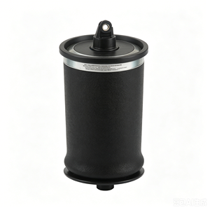 ถุงลมสปริงกันสะเทือนรถยนต์ด้านหลังขวา/ซ้าย RKB101460 เหมาะสำหรับแลนด์โรเวอร์ เรนจ์โรเวอร์ P38A 1994-2002 - Product Image 1
