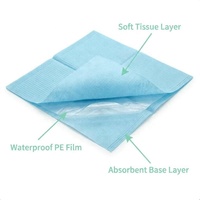 Bavette dentaire jetable Hibosk colorée 3 plis, imperméable et absorbante, pour soins bucco-dentaires et hygiène personnelle