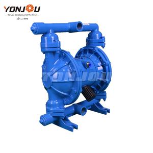 Repuestos para Bomba de Diafragma QBK Serie 25 40 - Product Image 4