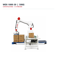 Palettiseur automatisé de fin de ligne 50 kg avec ventouses pour le chargement de cartons et l'empilage de produits finis