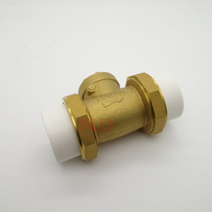 Vanne de retenue en laiton PPR DN20 DN25 DN32 avec joint en silicone, vanne unidirectionnelle pour système d'eau - Product Image 2