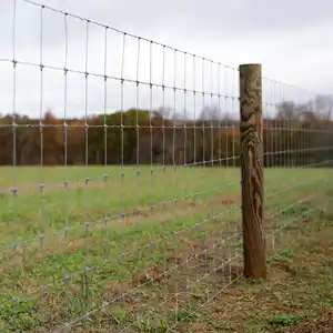 Langlebiger Schlussverkauf Lowes-Bauernhofzaun Viehzucht Schaf-Gitterzaun für Gartenschutz