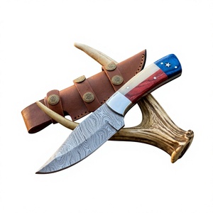 Couteau à lame fixe Drop Point en acier Damas, manche en bois Pakka bleu, garantie 3 ans, dureté 58-60, 20 cm, camping, bricolage, survie - Product Image 2