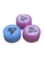 Imprimante jet d'encre UV PIJ haute résolution IPS-6501 pour l'impression de logos et de codes QR sur bouchons de bouteilles