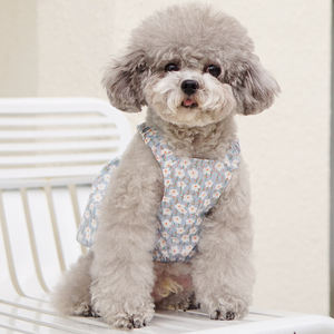 Vestido de verano con estampado Floral de calabaza y perro, diseño de encaje, medio círculo, novedad de <span class=keywords><strong>2022</strong></span> - Product Image 6