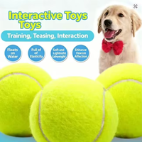 Balle pour animaux de compagnie en caoutchouc élastique, style tennis, résistante à l'usure, jouet interactif pour l'entraînement et le jeu de rapport, accessoire pour le nettoyage des dents, 6,3 cm