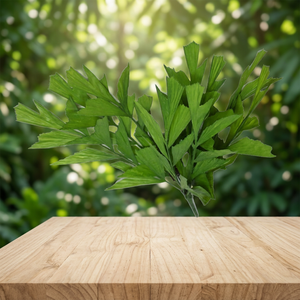 Fábrica de Flores Artificiales, Ramo de Hojas Verdes de Plástico, Follaje Decorativo, Arbusto de Hojas Perennes de Alta Simulación para Arreglos Florales - Product Image 2