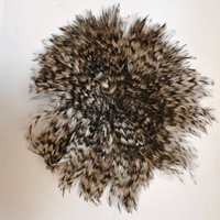 Plumes de coq grizzly en gros, grises, couleur chinchilla, en guirlande, pour la fabrication de mouches de pêche à la mouche, fournitures d'artisanat en vrac