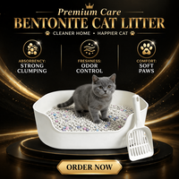 Litière pour chat en bentonite Humid Climate Pro, formule anti-imbibation, contrôle extrême des odeurs, sable d'argile de sodium, vente en gros en vrac