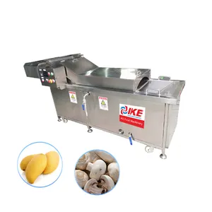 Sebze haşlama makinesi meyve mantar patates ısıtma ağartma gıda haşlama makinesi