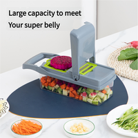Mandoline multifonctionnelle 16-en-1 pour cuisine : coupe-oignon, râpe, trancheuse, hachoir à légumes