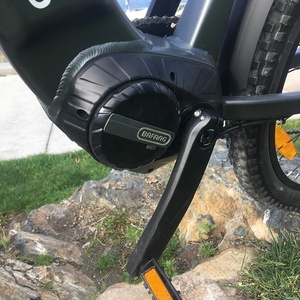 Veloce ed efficiente bafang bt f04 - Alibaba.com