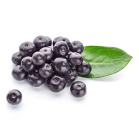 Prix de gros Poudre de fruits d'açai de haute qualité Poudre de baies d'açai anthocyanes