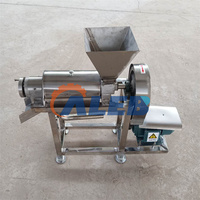Roestvrijstalen Fruit Mengmachine Hoge Efficiëntie Kokosnoot Juicer