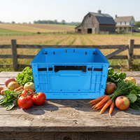 Grande caisse en plastique pliable réutilisable 400*300*230mm, caisse à fruits pliable pour le transport en supermarché