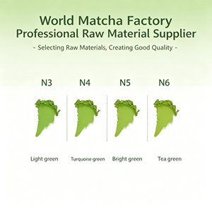 Poudre de Matcha Cérémonial Japonais en Vrac 1000 Mesh, Riche Arôme de Haricot, Sans Amertume, Échantillon Gratuit, Étiquette Privée Personnalisée - Product Image 2