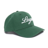 Gorra de Béisbol de Lona de 6 Paneles de Lujo para Adultos, Diseño Popular Personalizado con Logotipo Bordado en 3D de Alta Calidad, Color Verde