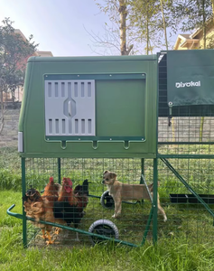 Cage mobile préfabriquée en plastique pour animaux de compagnie Poule Oeuf Poulailler Maison - Product Image 6