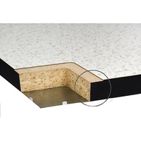Panneau de panneautage antistatique de haute qualité pour les centres de données et les salles blanches, couche galvanisée de 0,4 mm