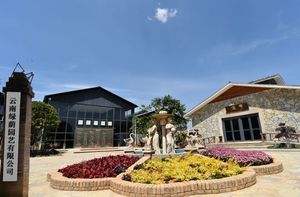 Preservada larga vida común Reed <span class=keywords><strong>Phragmites</strong></span> <span class=keywords><strong>Australis</strong></span> Hotel Decoración - Product Image 4