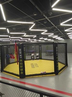 Anneau de boxe à cadre en acier de haute qualité, facile à installer. Équipement carré de ring de boxe, poteaux complets de ring de boxe.