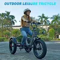 Tricycle électrique EcoRider SMARTRAVEL 48V 750W à pneus larges pour adultes, vélo cargo à 3 roues avec grand panier, 20 pouces, tout-terrain