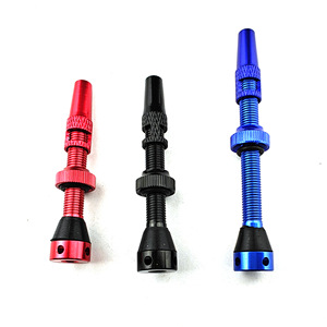 Kit de valves tubeless avec capuchon pour pneu de vélo, en acier inoxydable, antidérapant, design à lèvres françaises - Product Image 3