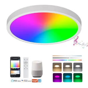 .Indoor Home Decoration Wifi Tuya App Remote Control 24W Led Smart Ceiling Light