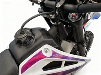 Bestseller 300cc Benzin 4-Takt Luftgekühltes Dirt Bike PR300 mit Knobby-Reifen, Kettenantrieb, Elektrostart, Rosa NIBBI Vergaser