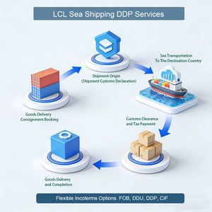 LCL DDP Express Verzending Zeevracht Expediteur, Deur-tot-deur Service vanuit China naar EU Zwitserland Noorwegen Duitsland - Product Image 6