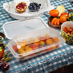 Wholesale Disposable PET Plastic <strong>Rectangular</strong> Lunch Box Microwave Safe Take-Away Food Tray Sandwich Cake Pizza Blister Packaging - Product Image 6