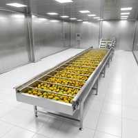 Fabrieksmatige productielijn voor het mengen van mangopulp, pasteurisator, automatische verwerking, hoge capaciteit, roestvrij staal