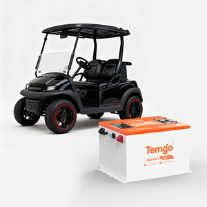 美国库存 51.2V 100Ah 高尔夫球车锂电池 SPCC 外壳 36V 48V 100Ah LiFePO4 5 年保修 房车电池 高尔夫球车电池 - Product Image 1