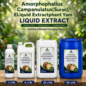 Extractos Naturales de Amorphophallus Campanulatus, Extracto Líquido 1L 5L 25L 50L, Suplemento Herbal Líquido Oral, Apoyo para la Salud Digestiva - Product Image 3