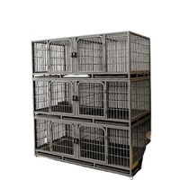 Cage confortable cage d'élevage de lapins dans la ferme cages à lapins photo