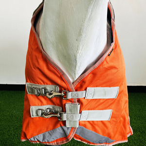 OEM su geçirmez at örtüsü kentsel binicilik kışlık halı-kontrast dikişli şık turuncu - Product Image 6