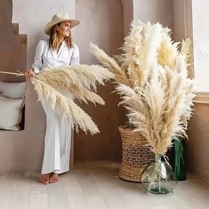 Prezzo all'ingrosso fiori decorativi erba pampa <span class=keywords><strong>centrotavola</strong></span> <span class=keywords><strong>matrimonio</strong></span> pampa Naturel Herbe De <span class=keywords><strong>Pampas</strong></span> - Product Image 6