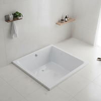Baignoire de toilettage pour chien en plastique acrylique professionnel durable, design encastrable, écologique, installation facile, salle de bain intérieure, trempage