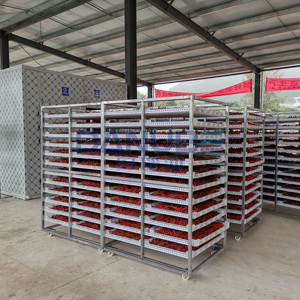 Ligne de nettoyage, découpe et séchage de piments certifiée qualité, Four de séchage à pompe à chaleur pour piments, Séchoir à piments - Product Image 5