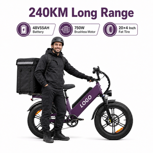 Bicicleta Eléctrica de Carga con Llantas Gruesas de 20 Pulgadas, Motor sin Escobillas de 750W, Batería de 48V 55Ah, 240KM de Autonomía, Bicicleta de Reparto para Mensajería - Product Image 1