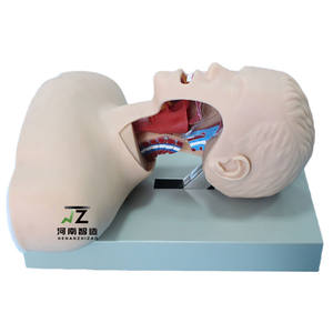 Simulador de Entrenamiento Multifuncional Avanzado en Ciencias Médicas para la Gestión de Vías Respiratorias de PVC, Maniquí de Entrenamiento de Intubación Traqueal de Medio Cuerpo - Product Image 4