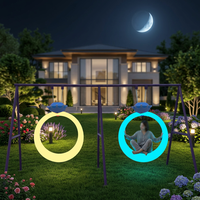 Décoration de jardin lumineuse à LED, lumière multicolore, télécommande, IP65, Noël, Halloween, zones scéniques, centres commerciaux