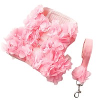 Pettorina Rosa Floreale per Cani con Fiori 3D, Gilet in Pizzo a Rete con Volant e Guinzaglio con Anello a D, Grazioso Abbigliamento da Passeggio per Cuccioli e Gattini di Piccola Taglia