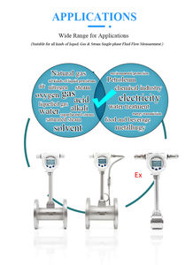 מד זרימת מערבולת הוכחה לפיצוץ | lpg, ביוגז & תעשייתי מדידה | lpg-מטר דיגיטלי מדויק - Product Image 6