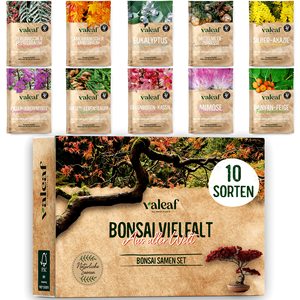 10 Bonsaïs exotiques des 5 continents Kit <span class=keywords><strong>de</strong></span> démarrage au design moderne unique pour débutants et idée cadeau - Product Image 2