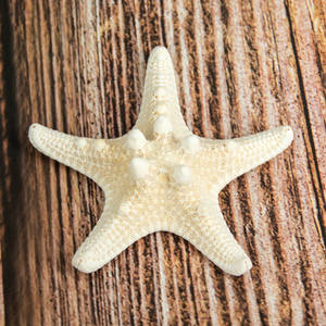 5-8 cm Naturale Mediterraneo Sea Stars Carino Mini Stelle Marine Decorazione del Mestiere di DIY Conchiglie Sulla Spiaggia Cottage Bambini Arredamento Camera Da Letto ornamenti - Product Image 2