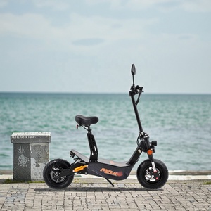 Motor sin Escobillas EEC de 2000W 3000W para Scooter de Movilidad, Bicicleta con Llanta de 10 Pulgadas, Certificación CE, Alcance de 60 km, R-ES103 2000W 48V 2 Ruedas - Product Image 5