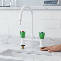 Robinet d'eau froide et chaude à sortie unique en laiton épais avec filtre intégré, type H, pour lavabo de laboratoire pharmaceutique et de R&D - Vente en gros à prix abordable
