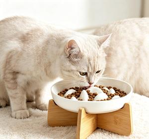 Private Label Elevated <b>Cat</b> Slow <b>Feeder</b> Bowl Luxury Ceramic Pet Water Feeding Bowl with Stand - Product Image 1